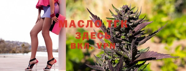 амф Каменка