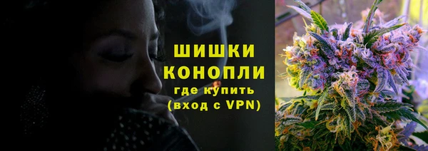 амф Каменка