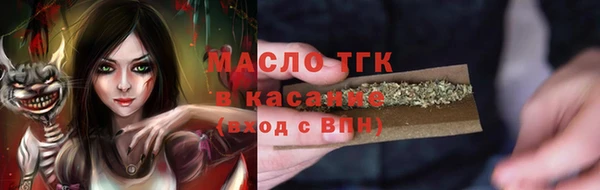 амф Каменка