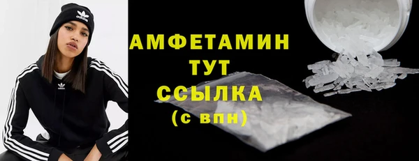 амф Каменка