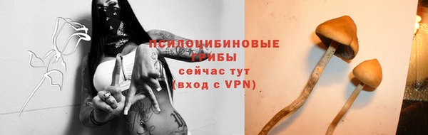 ешки Каменногорск