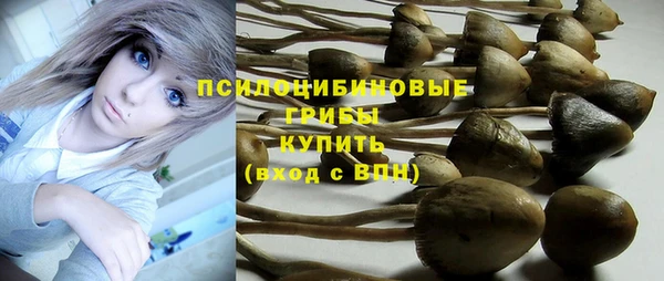 ешки Каменногорск