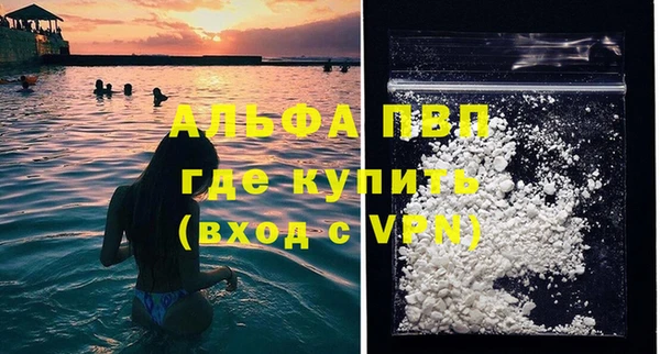 ешки Каменногорск