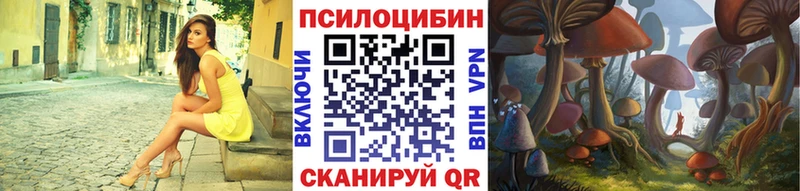 Купить закладки  Вяземский  Галлюциногенные грибы мицелий 